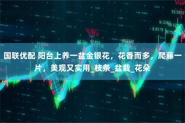 国联优配 阳台上养一盆金银花，花香而多，爬藤一片，美观又实用_枝条_盆栽_花朵