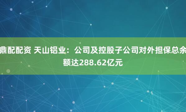 鼎配配资 天山铝业：公司及控股子公司对外担保总余额达288.62亿元